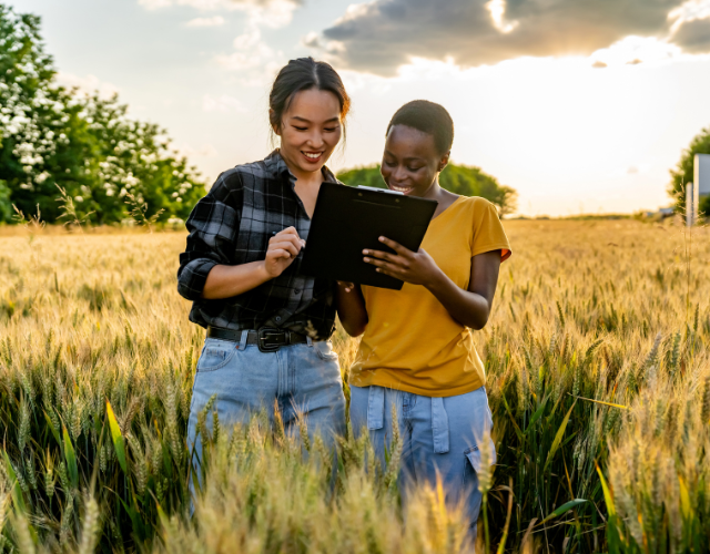 The Importance of Farm & Crop Insurance for Agricultural Businesses